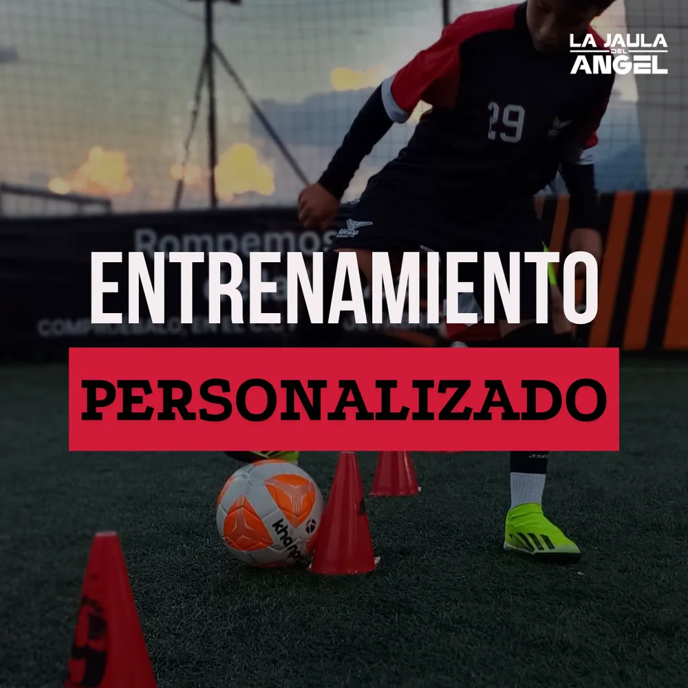 Entrenamiento personalizado