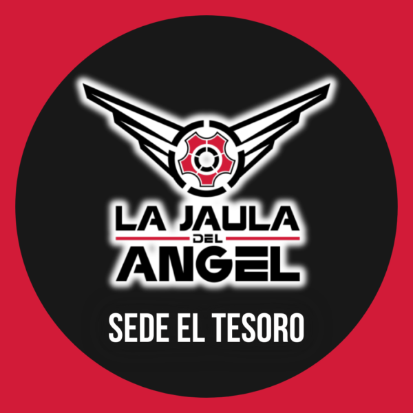 Matricula El Tesoro 2025