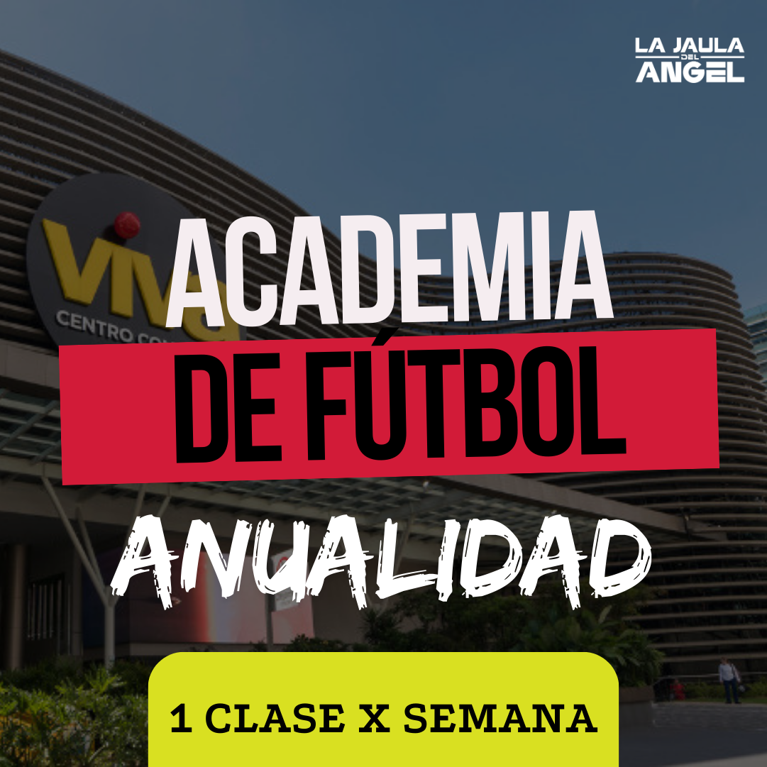 Anualidad 1 clase por semana - NO MATRICULA