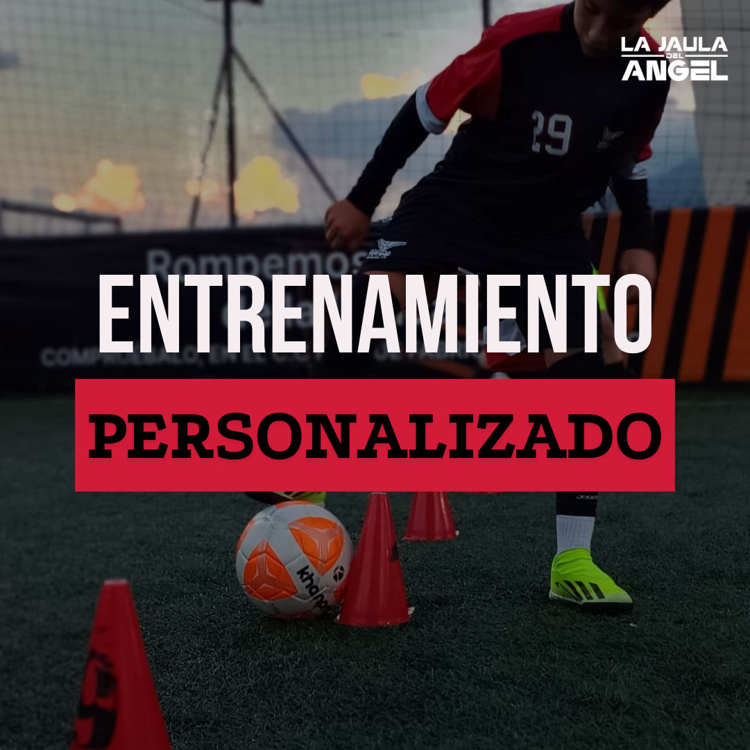 1 clase Entrenamiento Personalizado